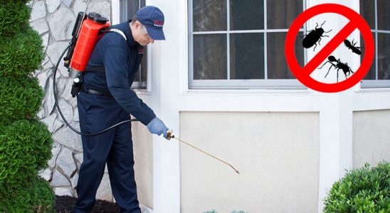 Saraykent Karınca İlaçlama böcek ilaçlama ve haşere kontrolü — ilaclama-tr.com